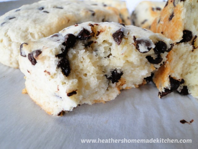 Chocolate Chip Scone broken in half with close up view of inside of scone. 
