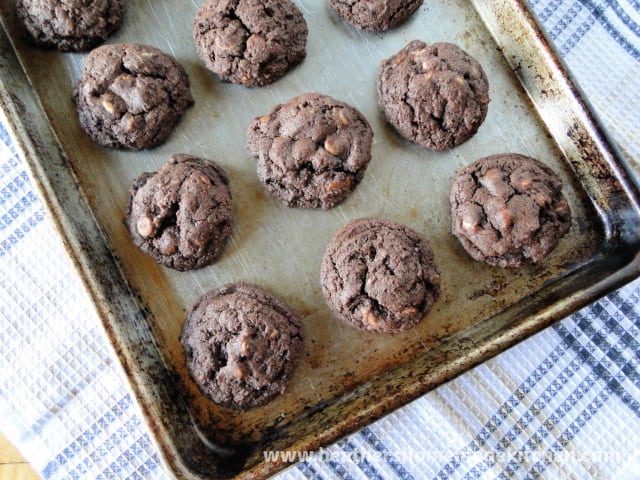 Top view of Peanut Butter Chip Chocolate Cookies on sheet pan. 