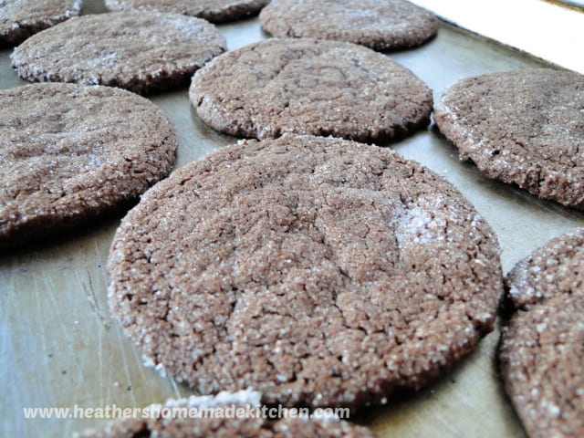 Chocolate Sugar Cookies in rows on sheet pan. 