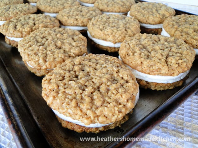 Front view of Oatmeal Cream Pies in rows on sheet pan.
