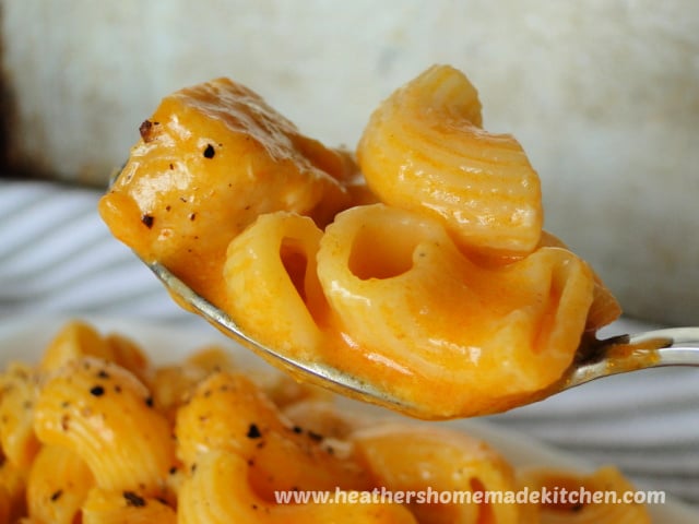 Instant Pot Buffalo Chicken Mac N Cheese close up on spoon.