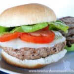 Close up side view of Turkey Burger with cheese, tomato, lettuce on bun.