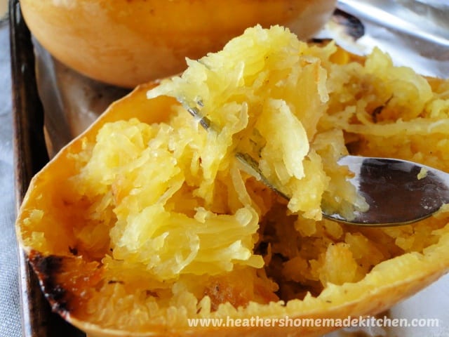Close up view of Oven Roasted Spaghetti Squash on a fork.