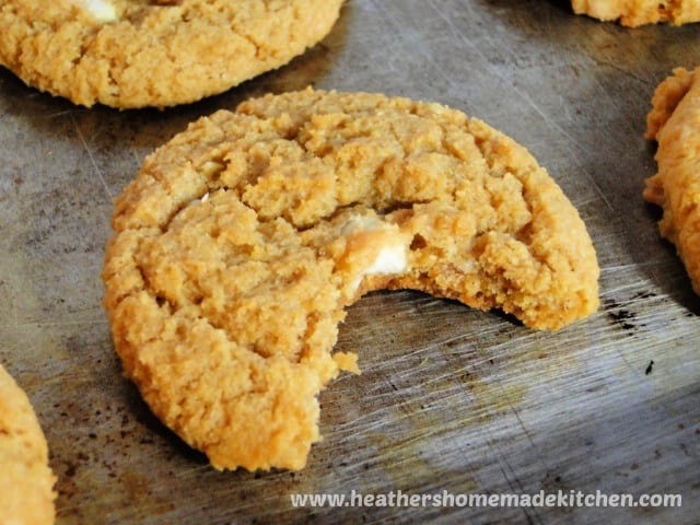 White Chocolate Chip Pumpkin Cookies with bite taken out. 