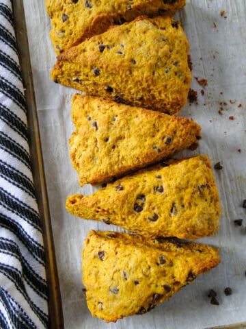 Close up of pumpkin chocolate chip scones in a line on baking sheet.