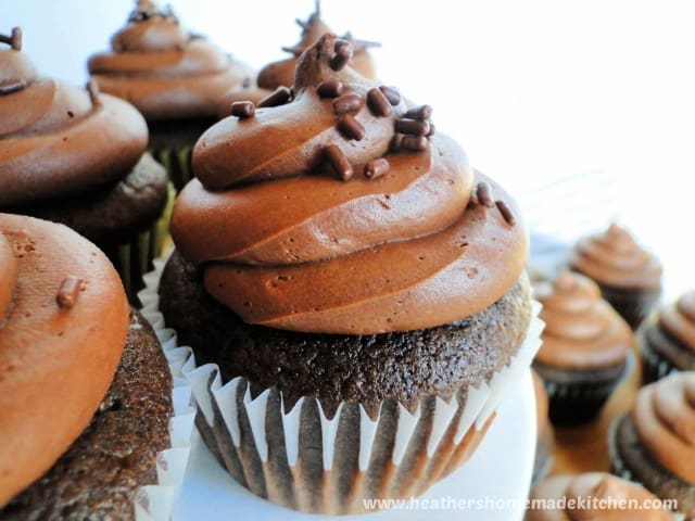 Close up view of Homemade Chocolate Cupcakes
