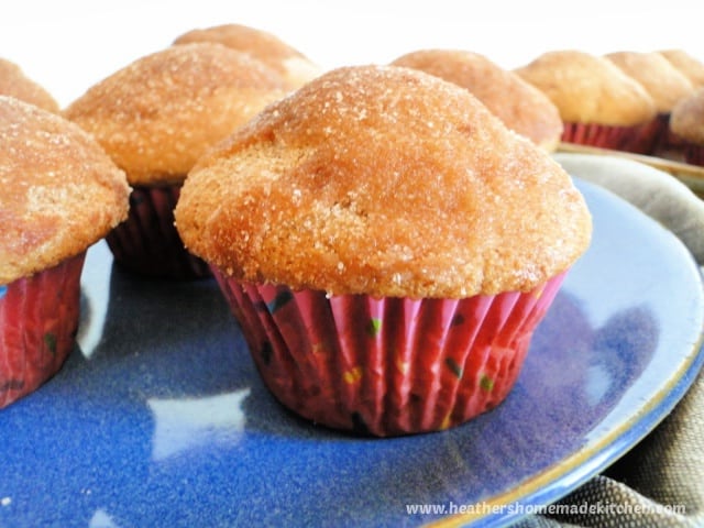 Side and muffin top view of Cinnamon sugar donut muffins on round blue plant.
