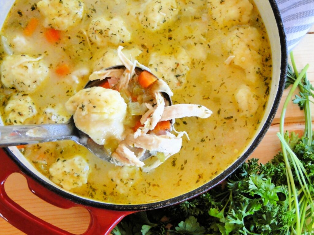 Ladleful of chicken dumpling soup from large red pot full of soup. 