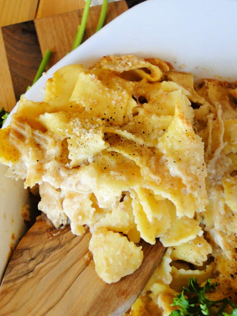 Close up view of chicken and noodles with portion on wood serving spoon. 