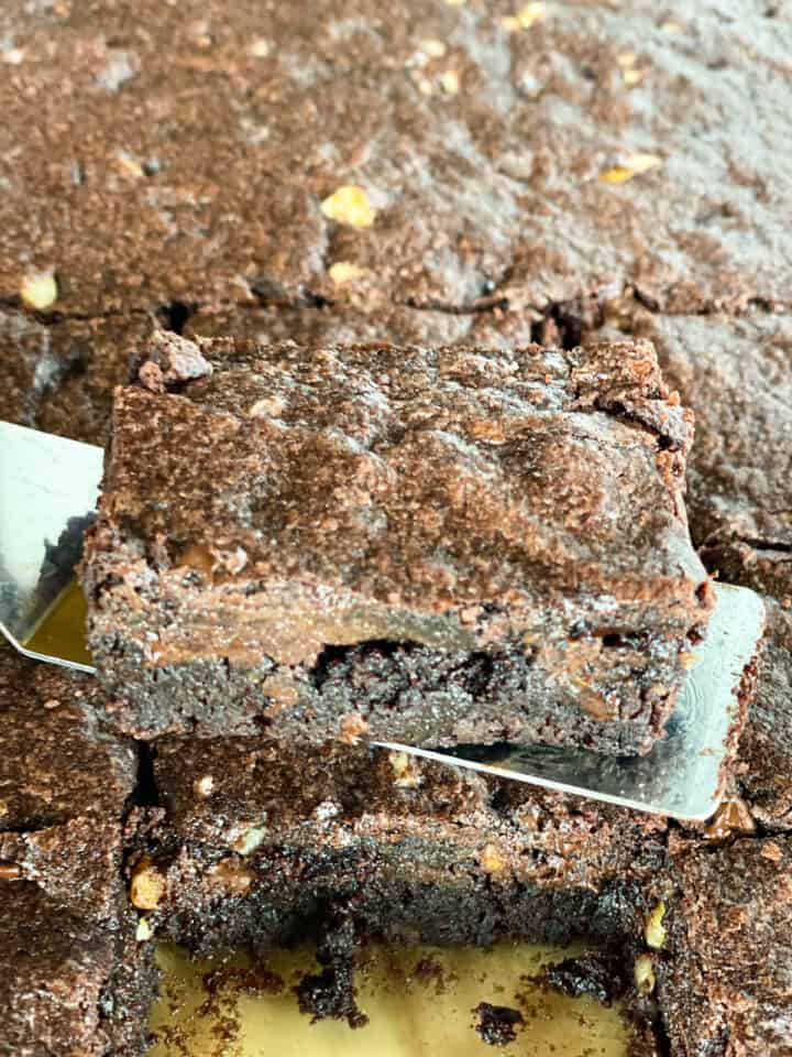 Dark chocolate walnut brownie slice on small spatula.