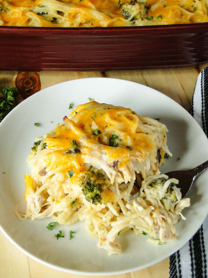 Close up view of chicken spaghetti baked serving on plate with fork.