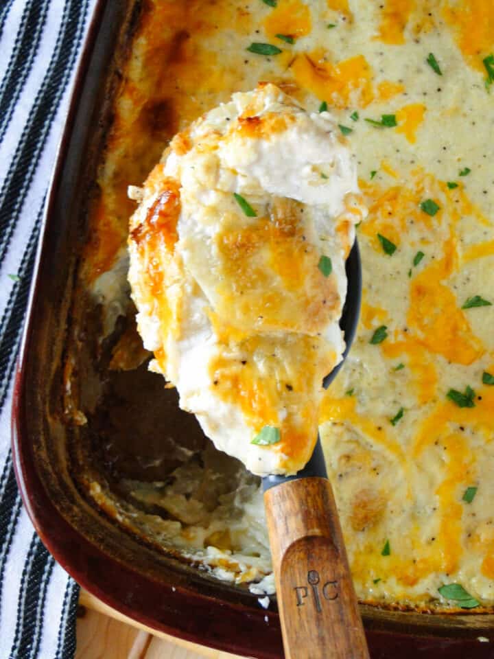 Close up top view of au gratin potatoes on serving spoon.