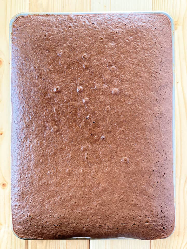 Baked cake in sheet pan.