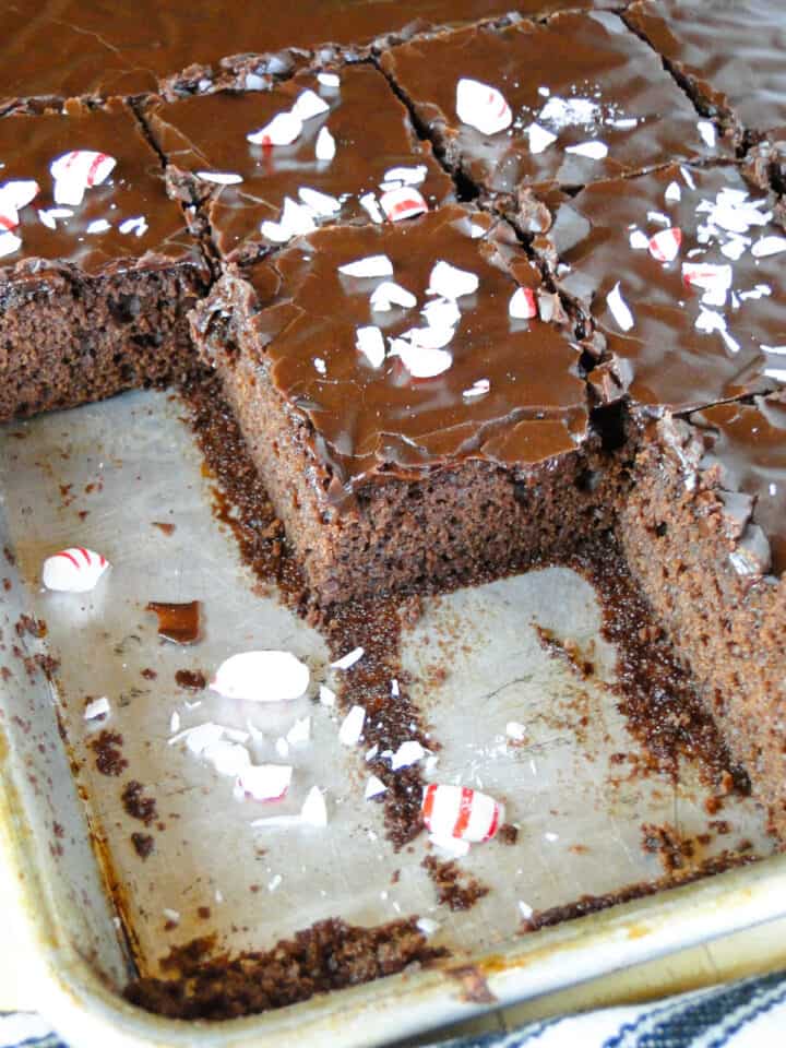 Chocolate peppermint sheet cake sliced in sheet pan.