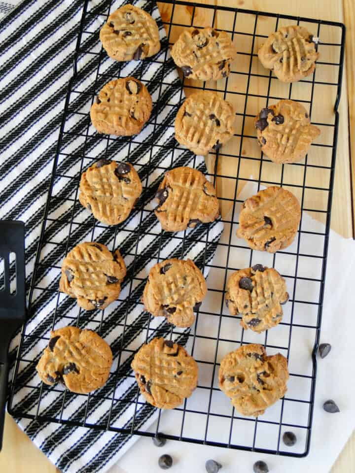 Top view of flourless peanut butter chocolate chip cookies in rows on wire rack.