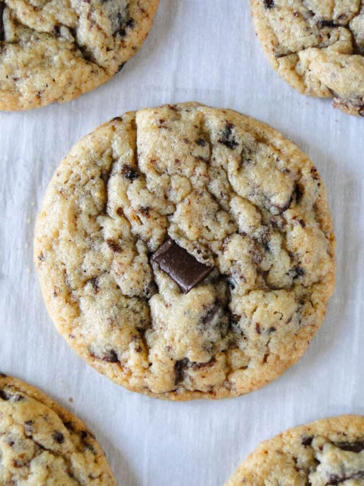 Close up of one chocolate chip coffee cookie.