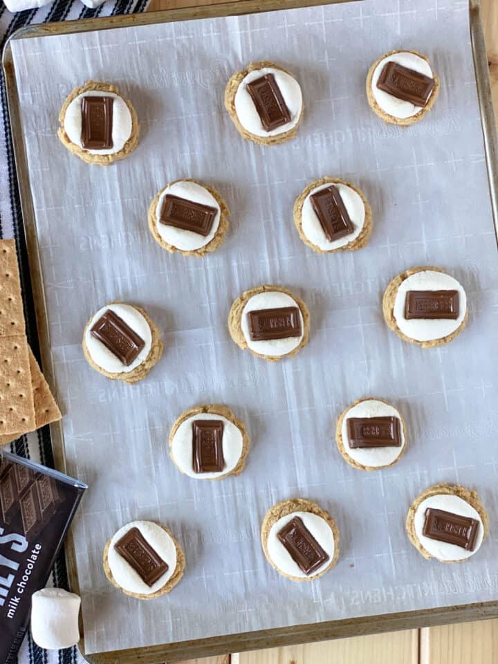 Chocolate pieces pressed into marshmallows on cookies on cookie sheet.