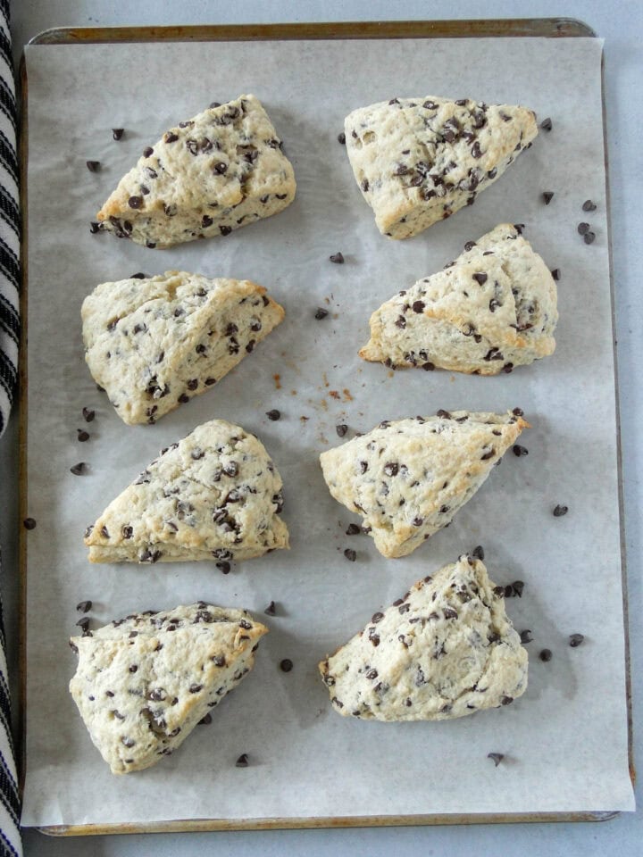 Top view of chocolate chip scones arranged in 2 columns on parchment lined baking sheet.