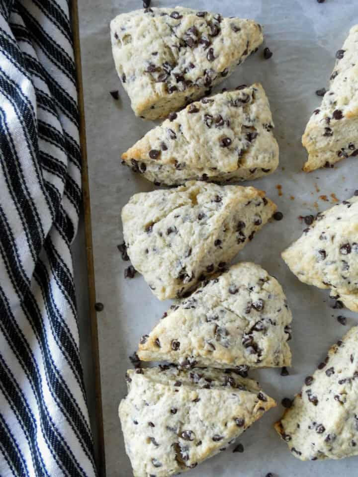 Top view of chocolate chip scones in a line.
