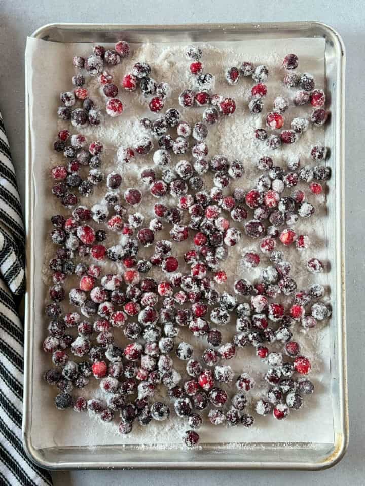 Rolled cranberries on sheet pan.