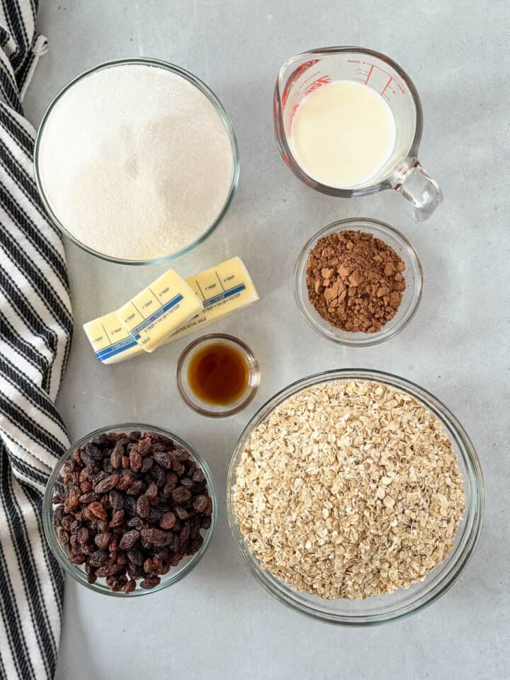 No bake chocolate cookies without peanut butter recipe ingredients.